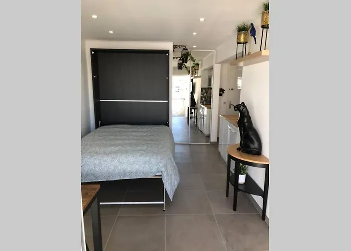 Appartement Vue Mer Et Port, Refait A Neuf Pour Vous ! Climatise